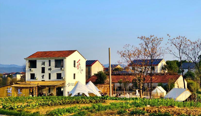 有位玄学师傅说得通透：富贵人家很少有燕子筑巢，老祖宗的道理早说明白了。

不是燕