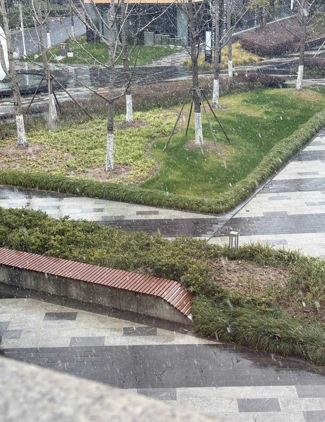 已经很多年没下雪的上海，突然下雪
浦东也下雪啦
	
虽然下到头上还是雪，到地面了