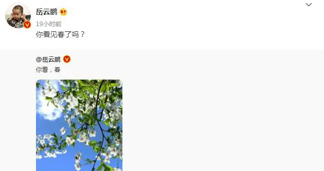 岳云鹏|岳云鹏：你看见春了吗？网友：你看见饺子了吗？