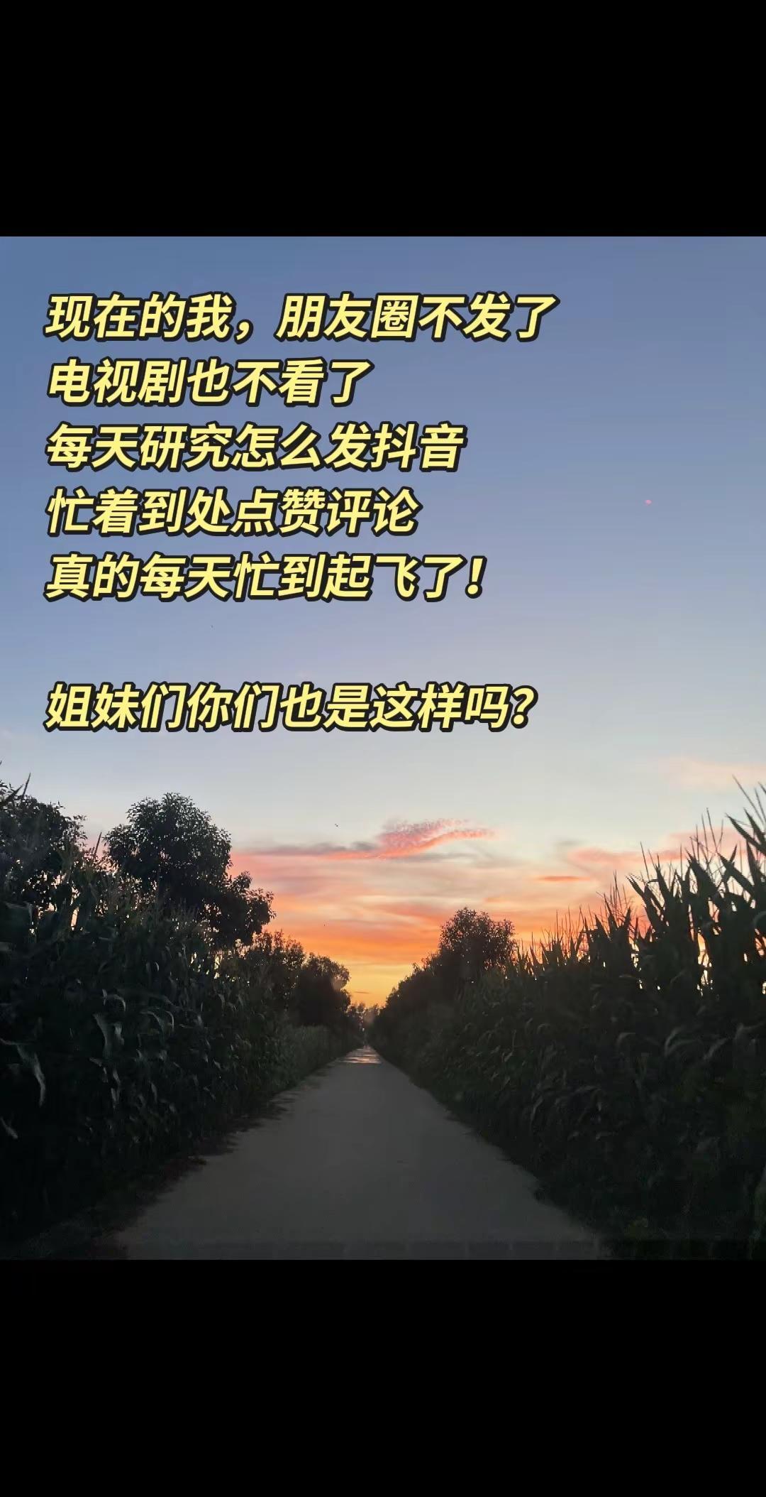 乡村田野是最治愈人心的风光 被日落治愈的瞬间