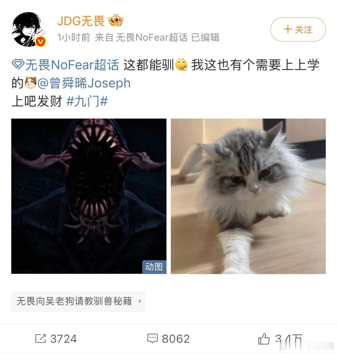 无畏在线驯猫喊话曾舜晞替曾舜晞隔空接下驯猫任务无畏驯猫现场状况百出，被财咪折腾得