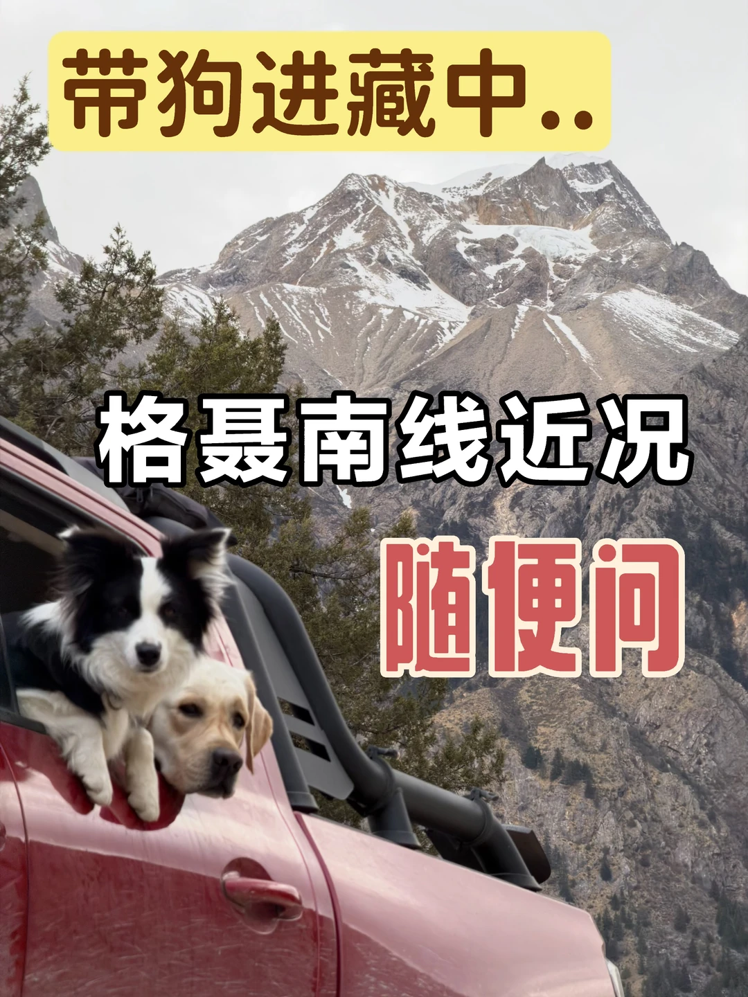 318带狗进藏:我看了传说中的格聂三宝！