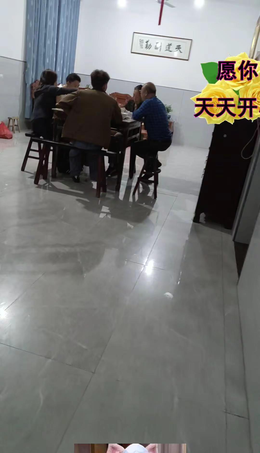 儿子带了同学回来玩，儿子，每一年的老同学回来玩，不过这几个小孩每一年都要来这里玩