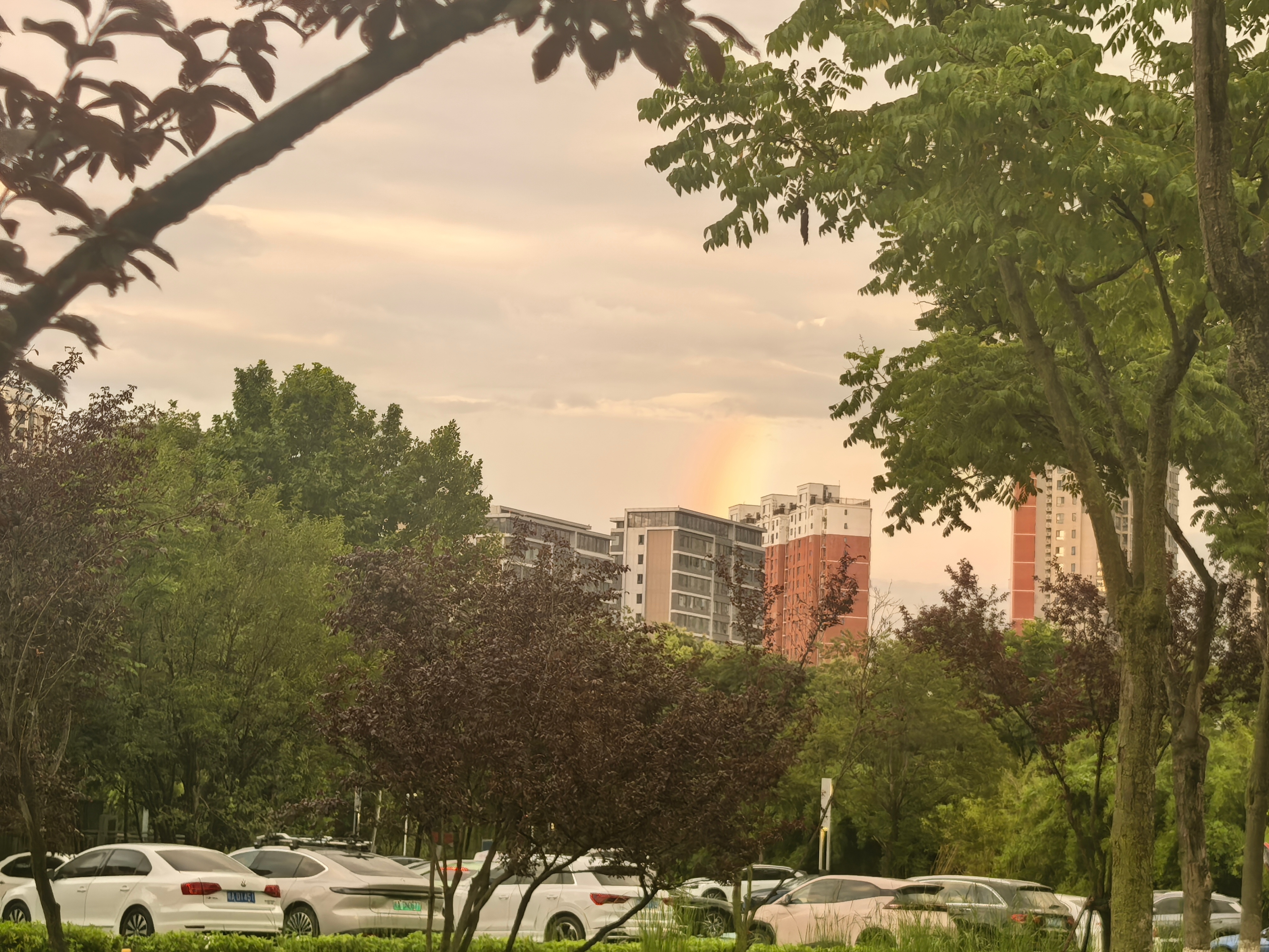 合肥南艳湖公园，雨后出彩虹了，好多年没见过了，见者都好运！ 合肥·南艳湖公园
