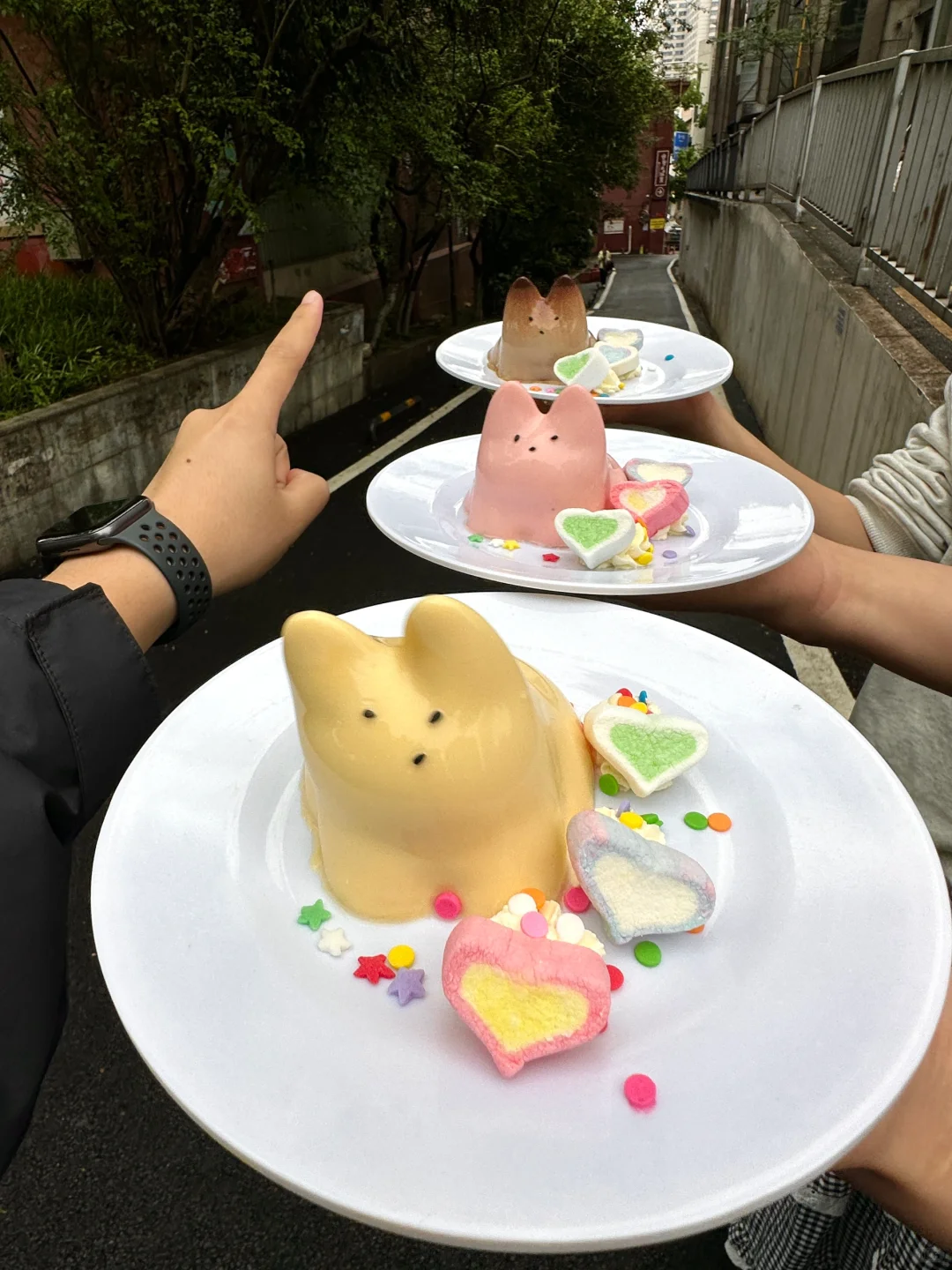 在长沙！终于吃上首尔超火的兔子布丁🐰🍮…