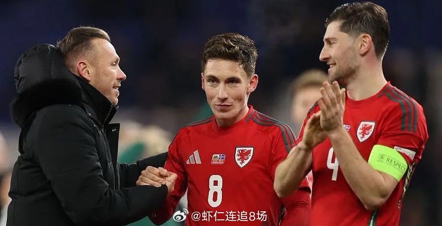 世界杯预选赛观赛指南：世欧预附加赛半决赛路径A：威尔士vs波黑波黑过去4次对阵威
