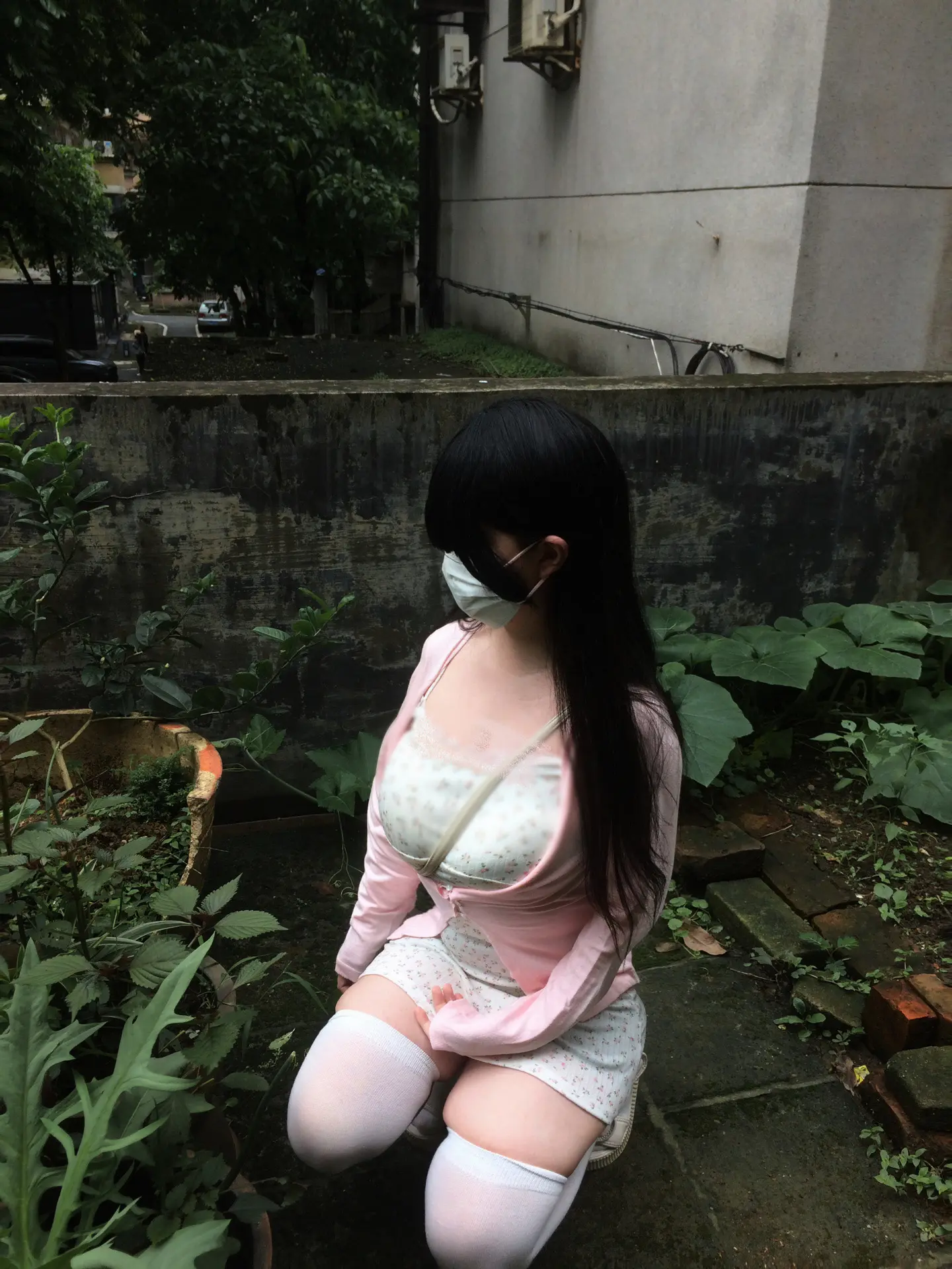 淡淡的温柔的却格外明亮