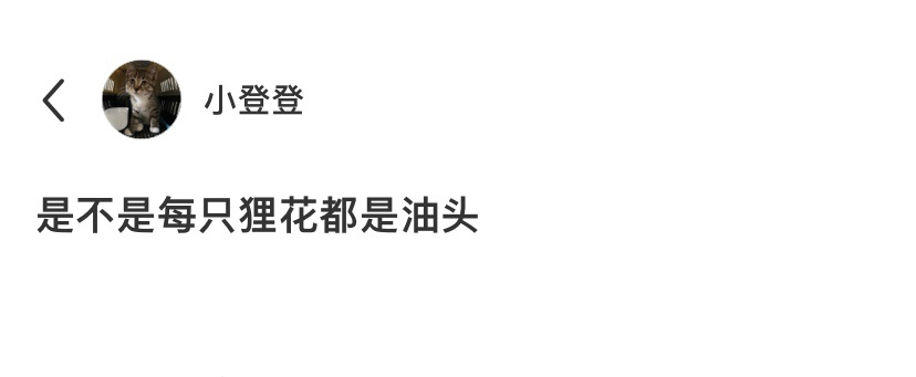 所有的狸花猫都是油头吗[哆啦A梦吃惊] ​​​
