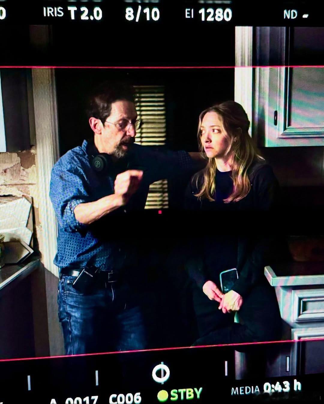 amanda seyfried阿曼达塞弗莱德主演的惊悚片《The Life an