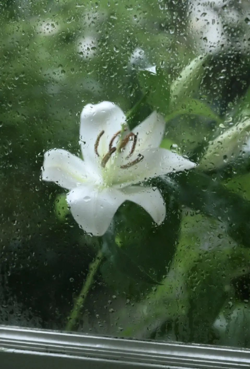 陈都灵眼中的世界。