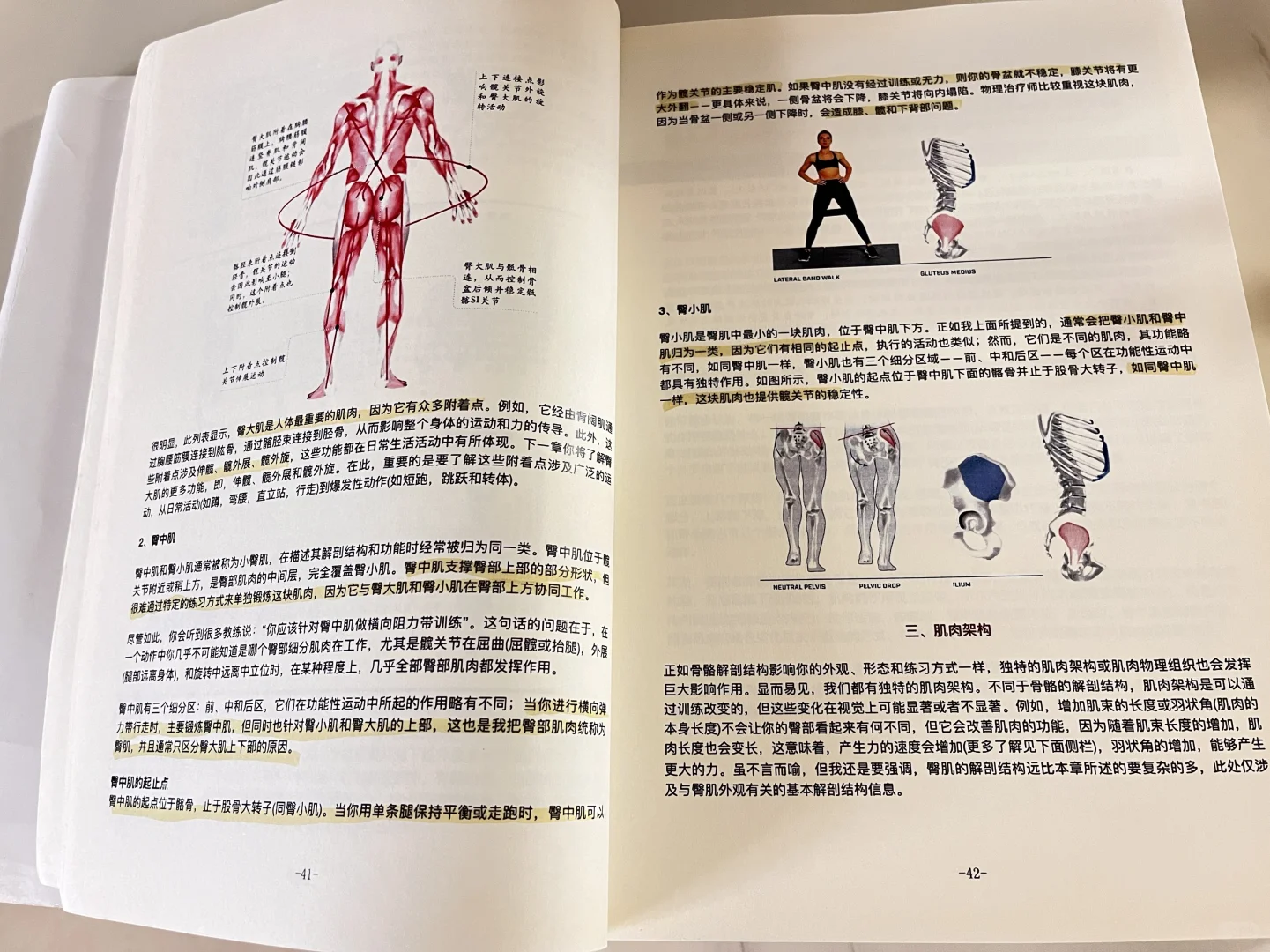 持续更新臀围训练思路以及计划