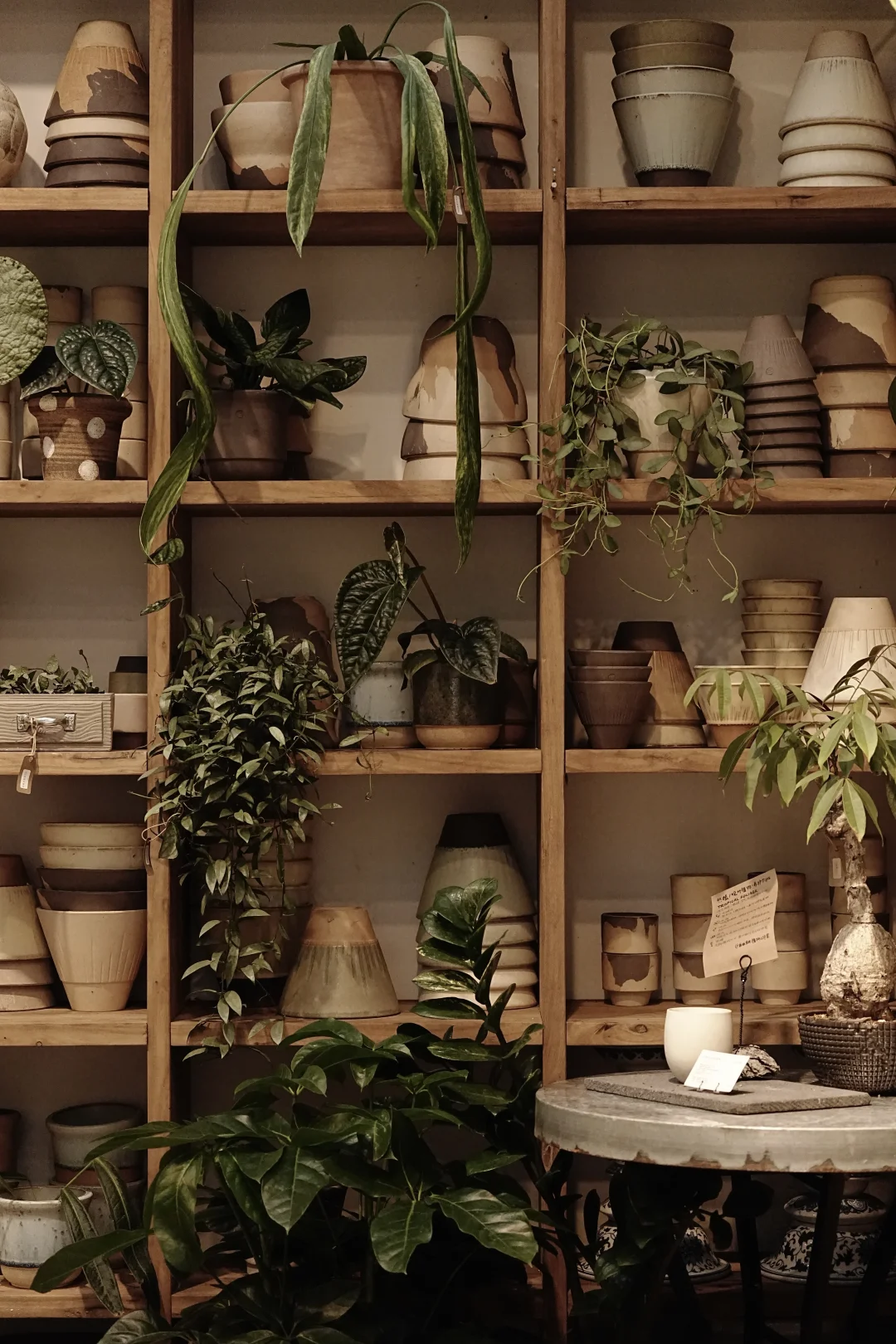 植物、木头、陶器，与一点缓慢的气味