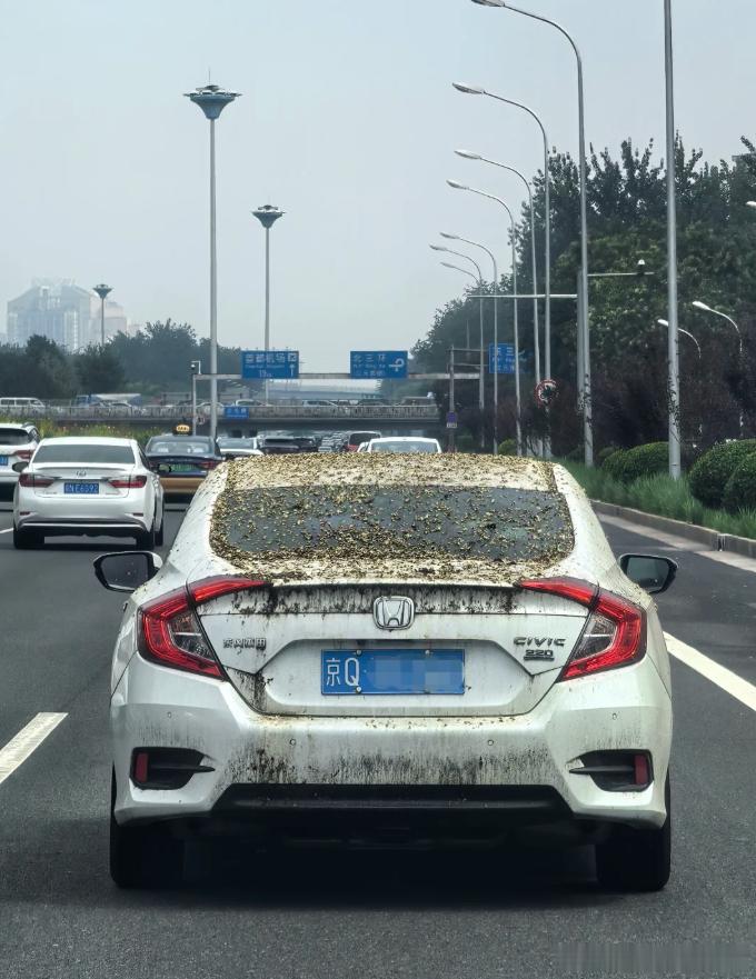 这是打哪儿放出来了啊？[允悲] ​​​