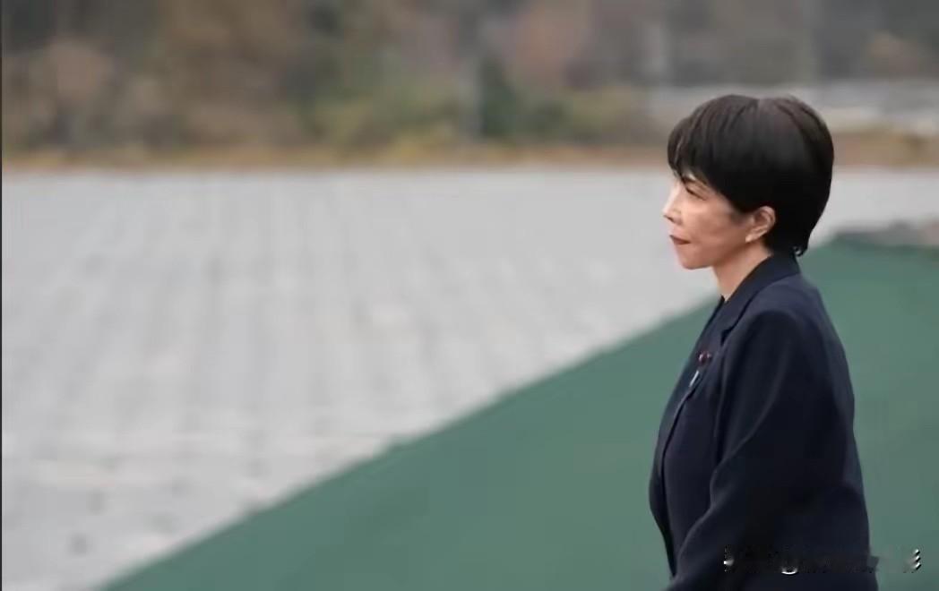 日本彻底慌了！6 月 1 日中国一记重拳落下，稀土和技术的大门，这次真的焊死了。