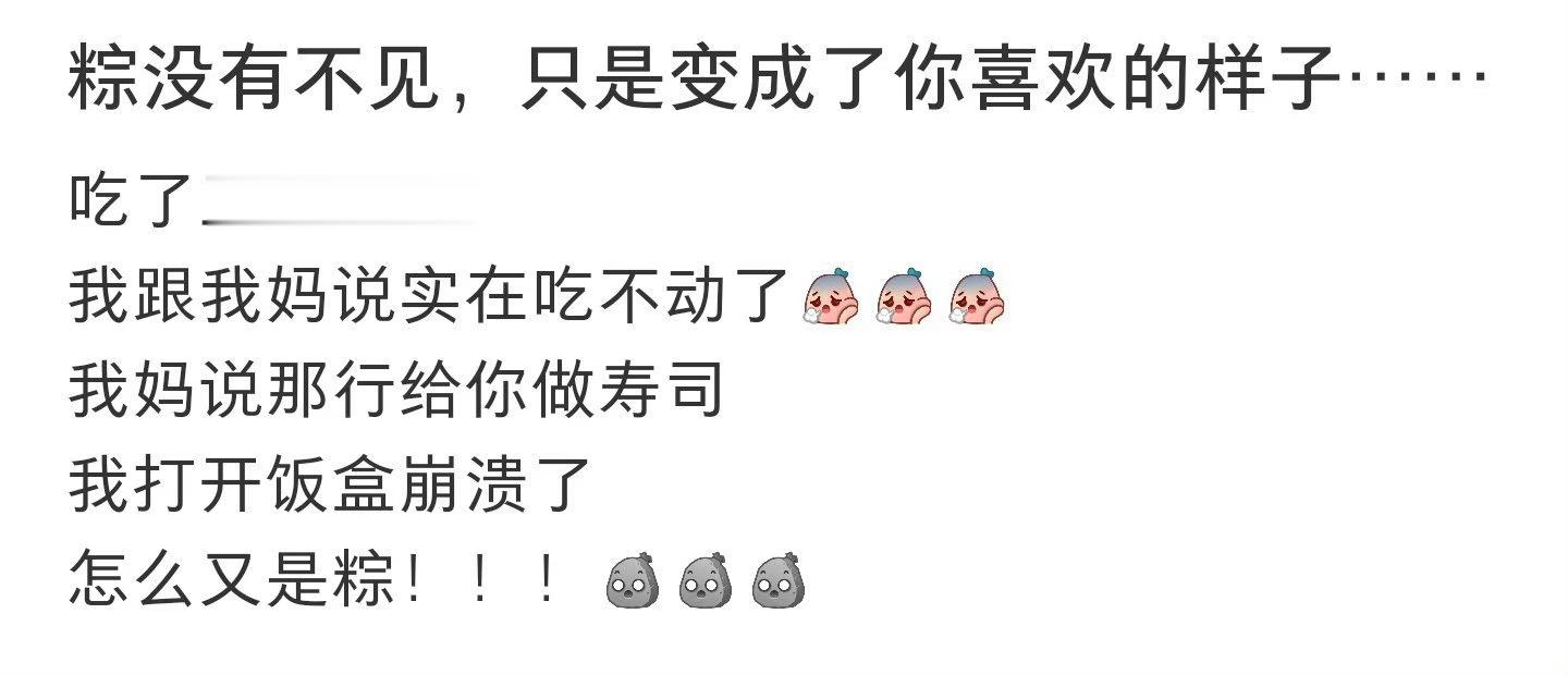 粽子只是变成了你喜欢的样子 ​​​