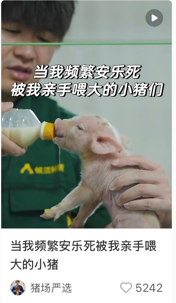 谁能点开这个视频，我反正是不能_(´ཀ`」 ∠)_ 