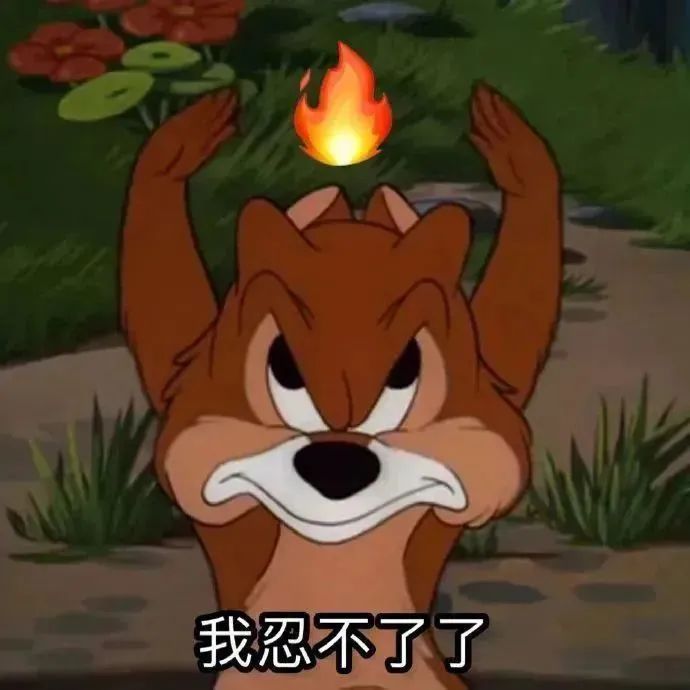𝑺𝒉𝒂𝒓𝒆·表情包丨最近爱用的聊天表情包积累 ​​​