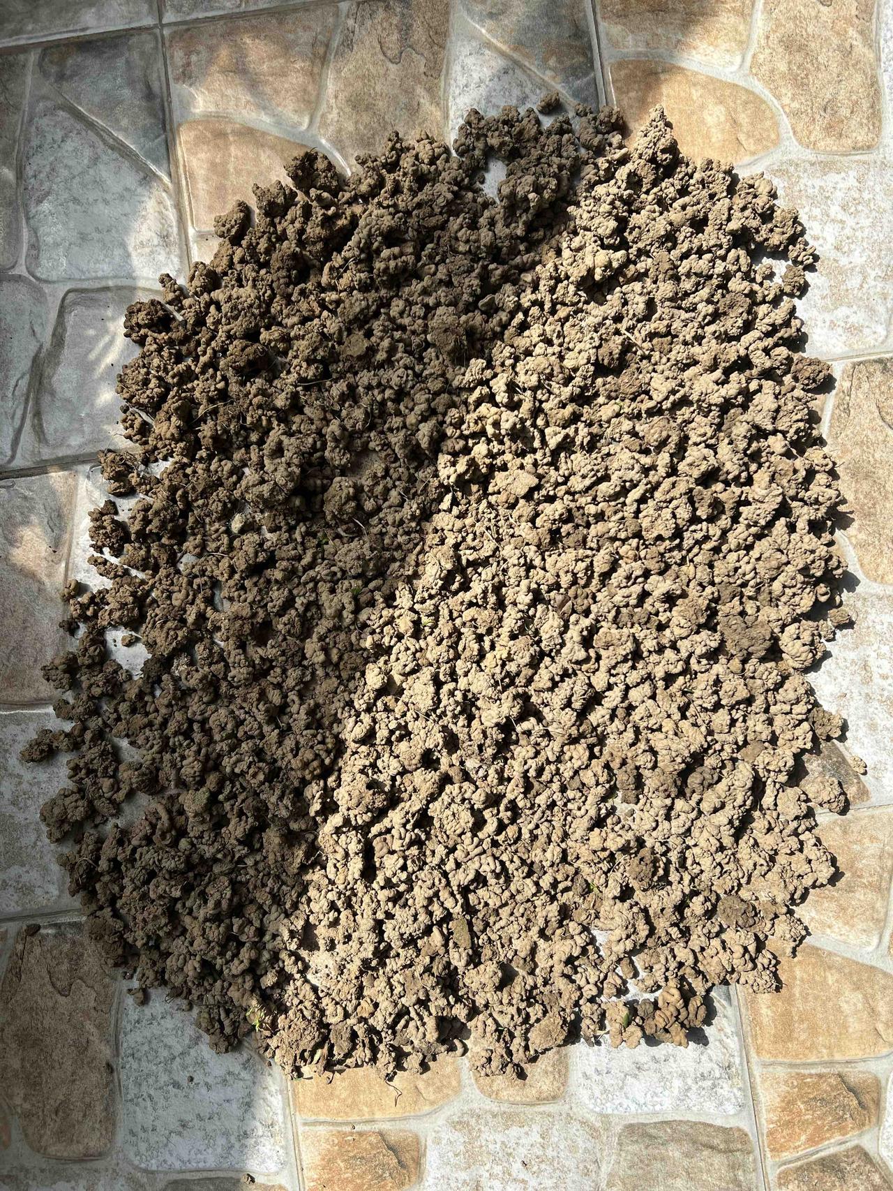 哪位大神级别的友友认识这是啥东西？
没有丰富的阅历，没有渊博的知识，你还真不知道