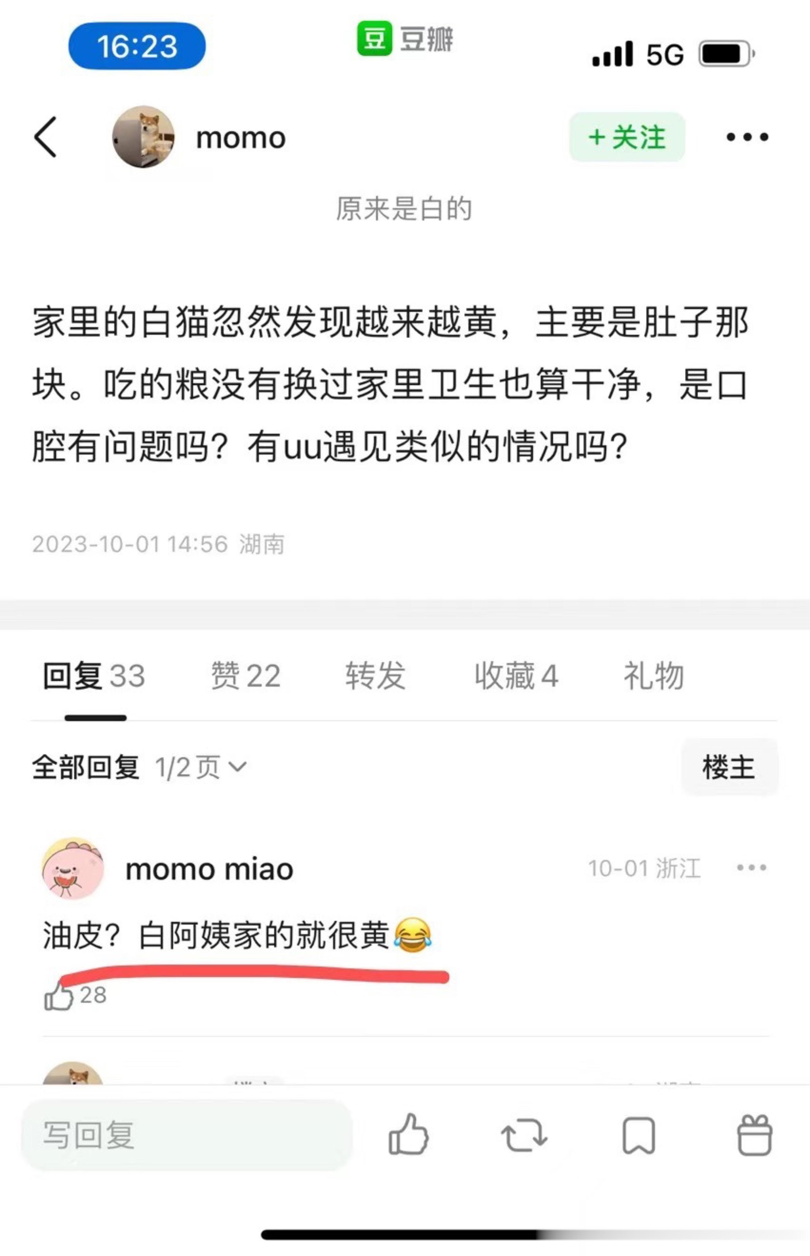 不是…我们家白猫很黄这事，是全世界都知道了吗？？？？还有28个赞…… ​​​