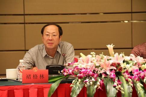 褚格林在湖南联通和湖南电信的职位都是副总经理或者副总经理级别，18年没有变化，2