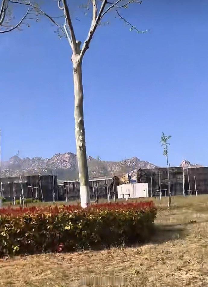 肖战《十日终焉》剧组这个防代拍都手段太牛了 严丝合缝一点看不到 