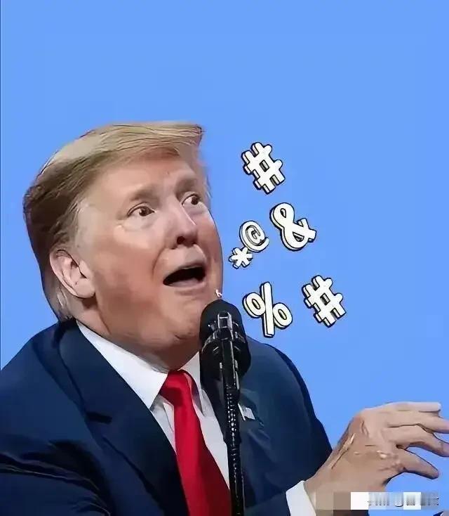 特朗普总统爱记恨
他一个自作主张轰炸伊朗，结果被搞得灰头土脸有点狼狈。他不反省自