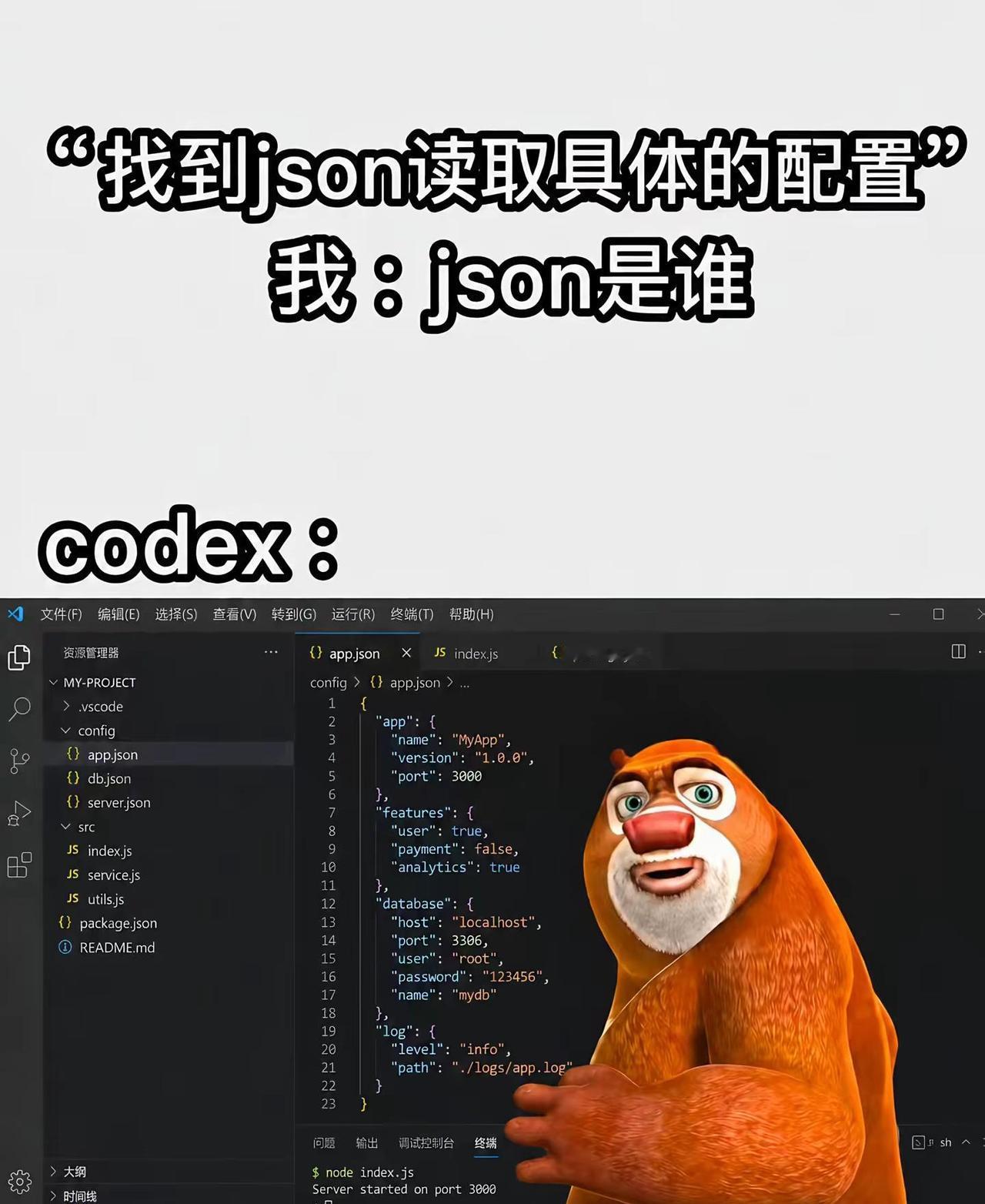 当我零基础开始vibecoding belikedeepseek codex v
