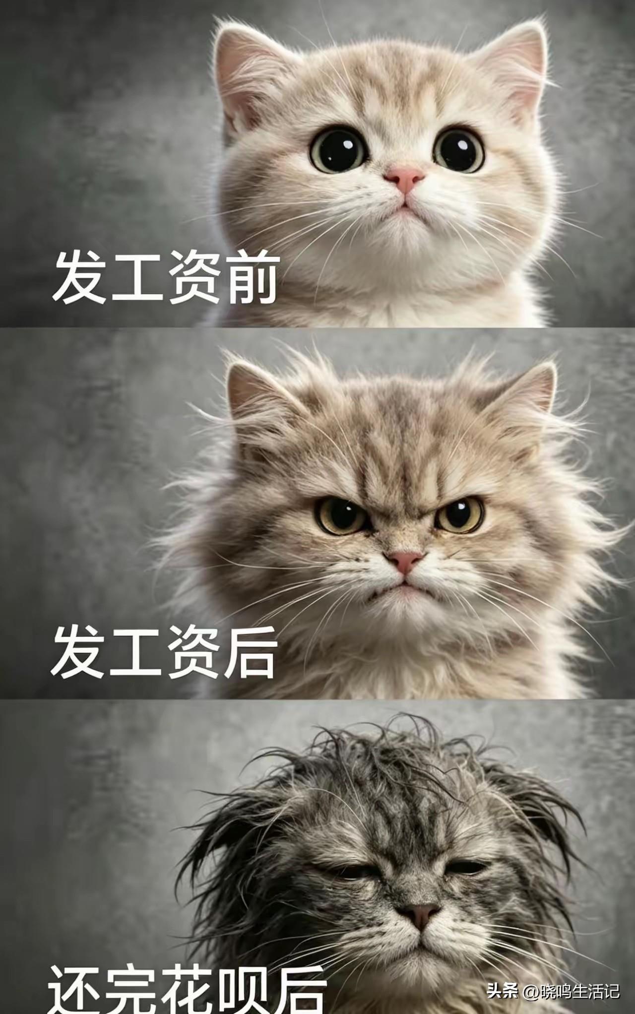 哈哈，真是这样吗？