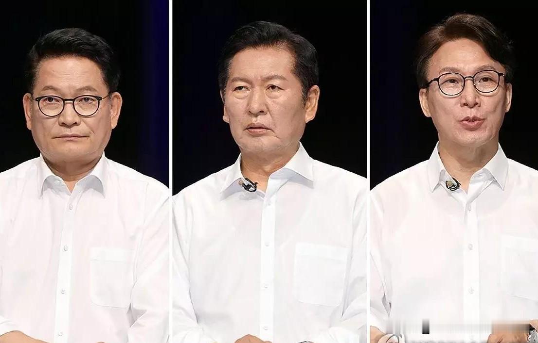 8月11日韩媒消息，韩国共同民主党昨日在湖南投票前夕，举办了关键的党首竞选电视辩