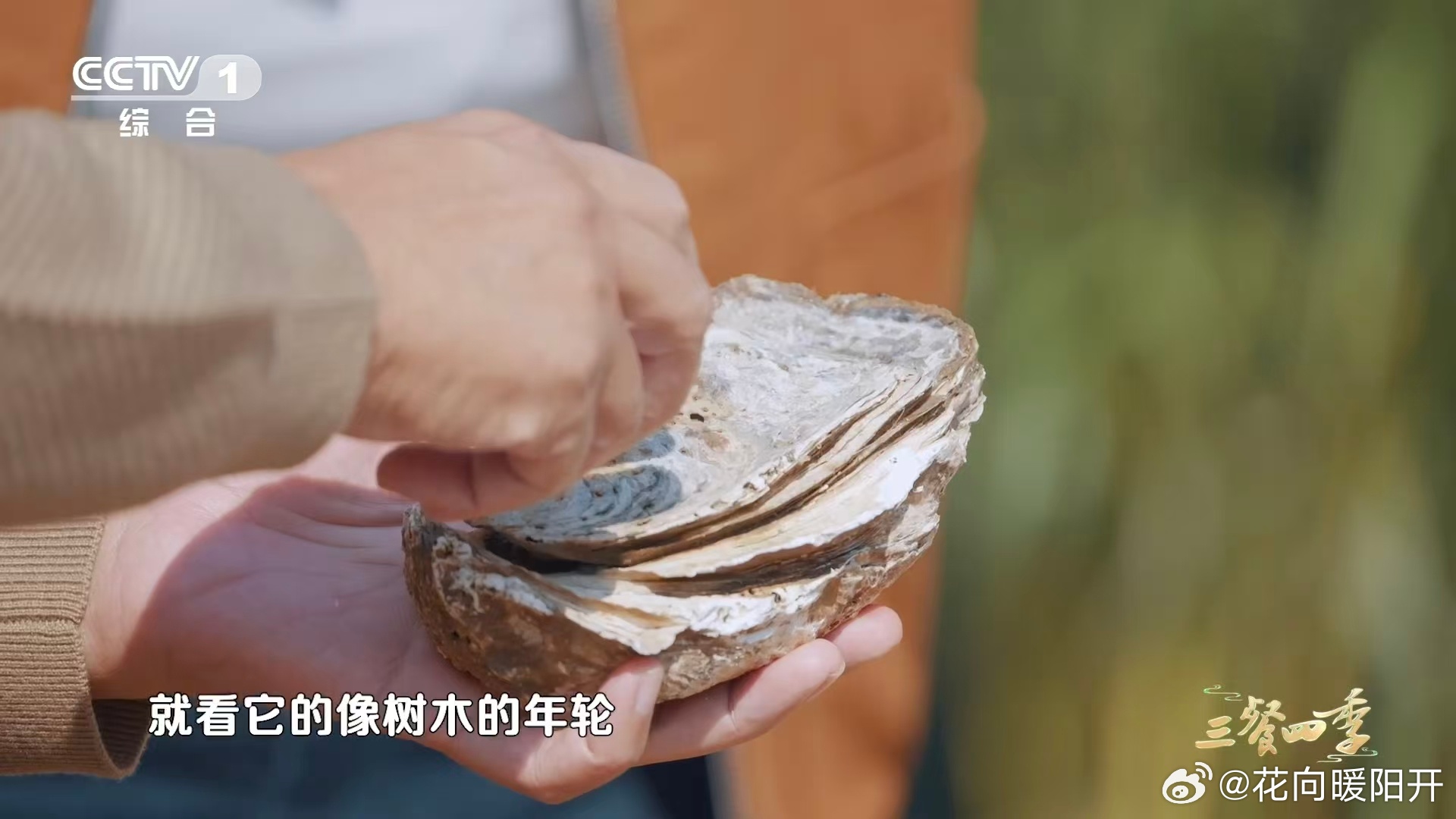 广东人的梦中情饭 看到属于广东人的梦中情饭之后瞬间就觉得自己手中的美食不香了，尤
