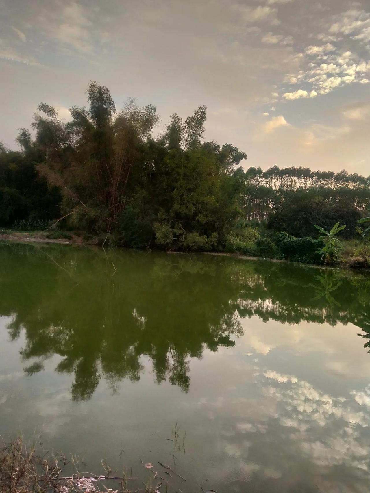 #随手拍最美黄昏落日#人约黄昏后，一起欣赏美景！