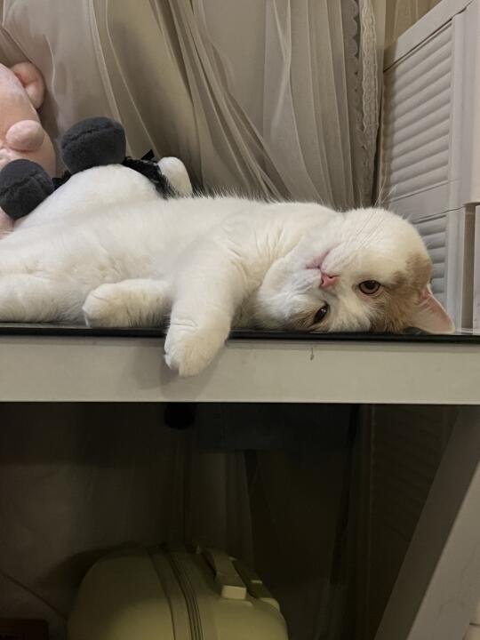 我倒要看看🙃