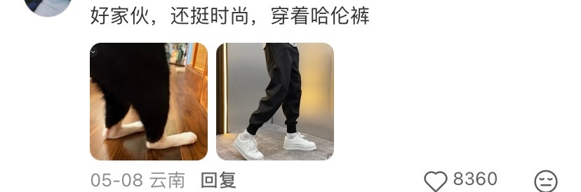 原来小猫是扁平足