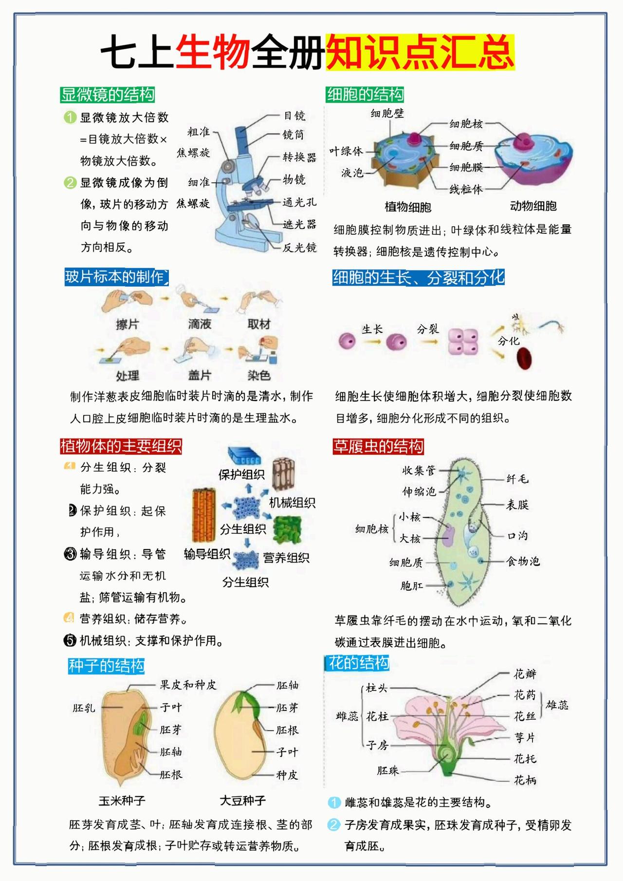 七上小四门全册核心知识点合集