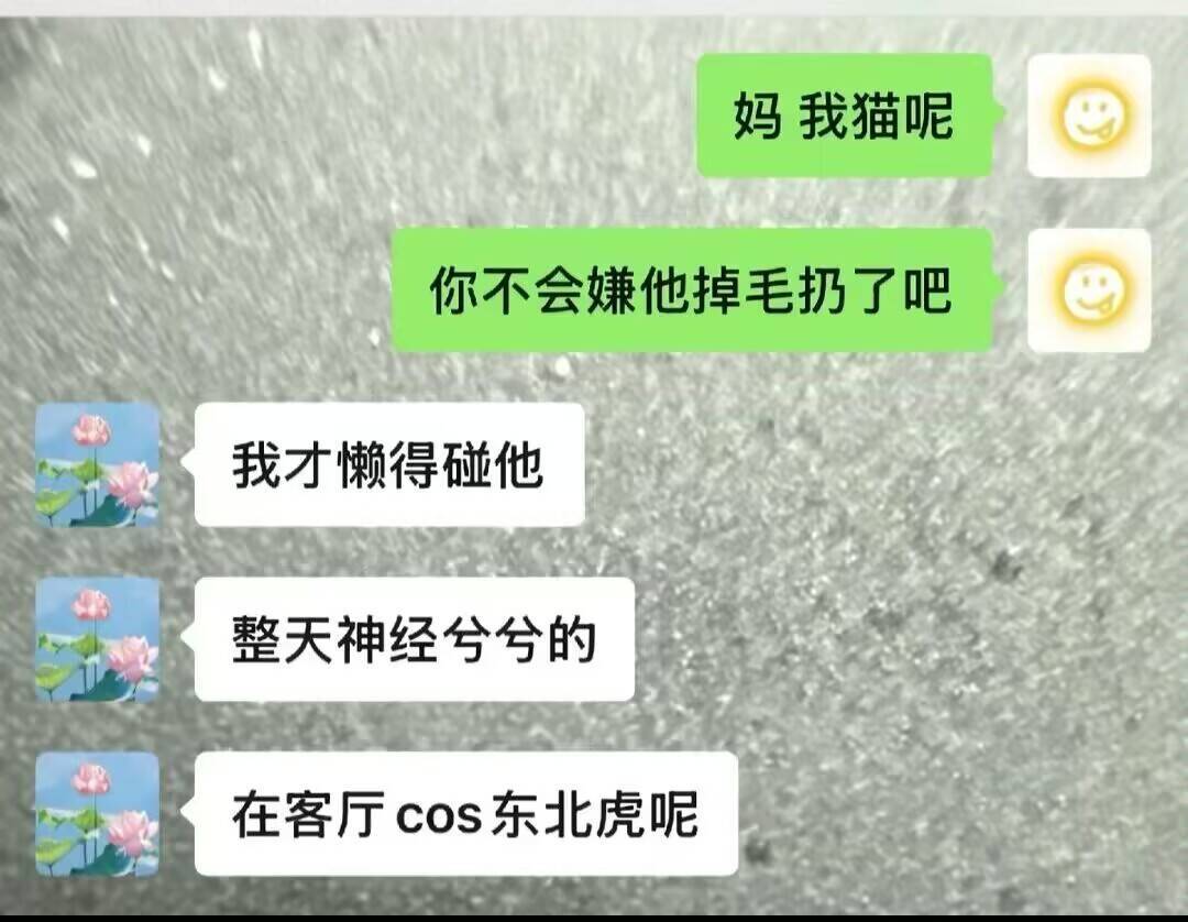 猫咪也有虎性的愿望 