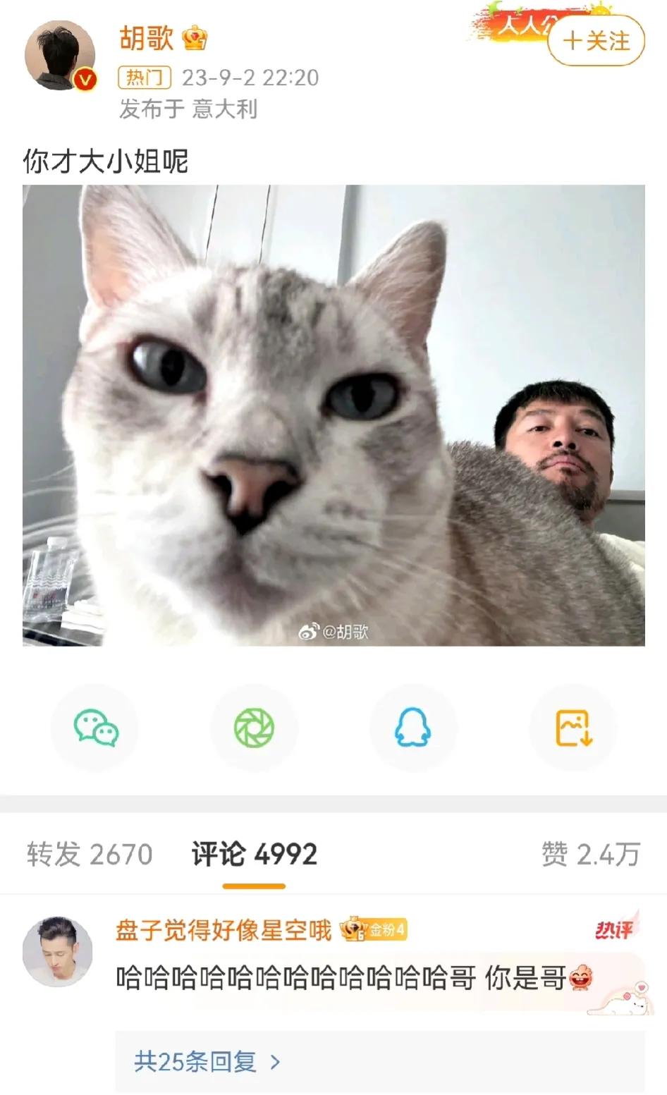 胡歌，报仇不过夜！[捂脸]
又上热搜了！
9月2日凌晨01:39分，胡歌发了一条