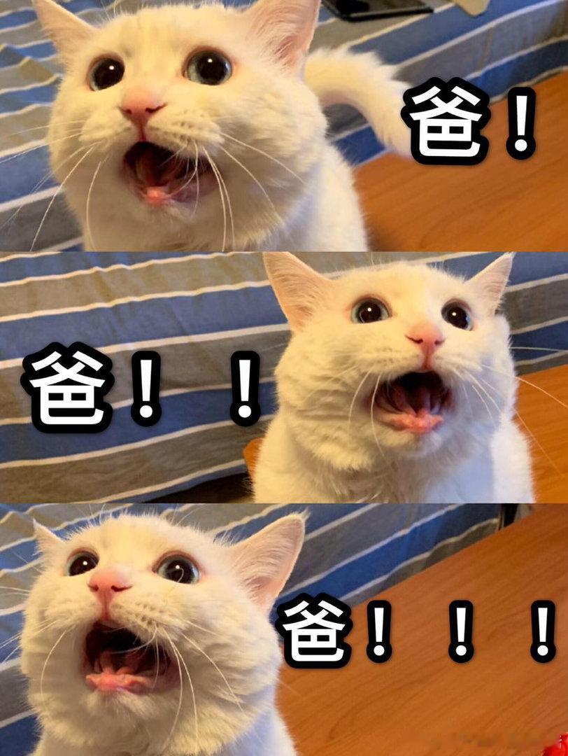 晚上去看的电影叫诺曼底，我们都以为是打仗片，实际上是个办公室片看完了回家的路上，