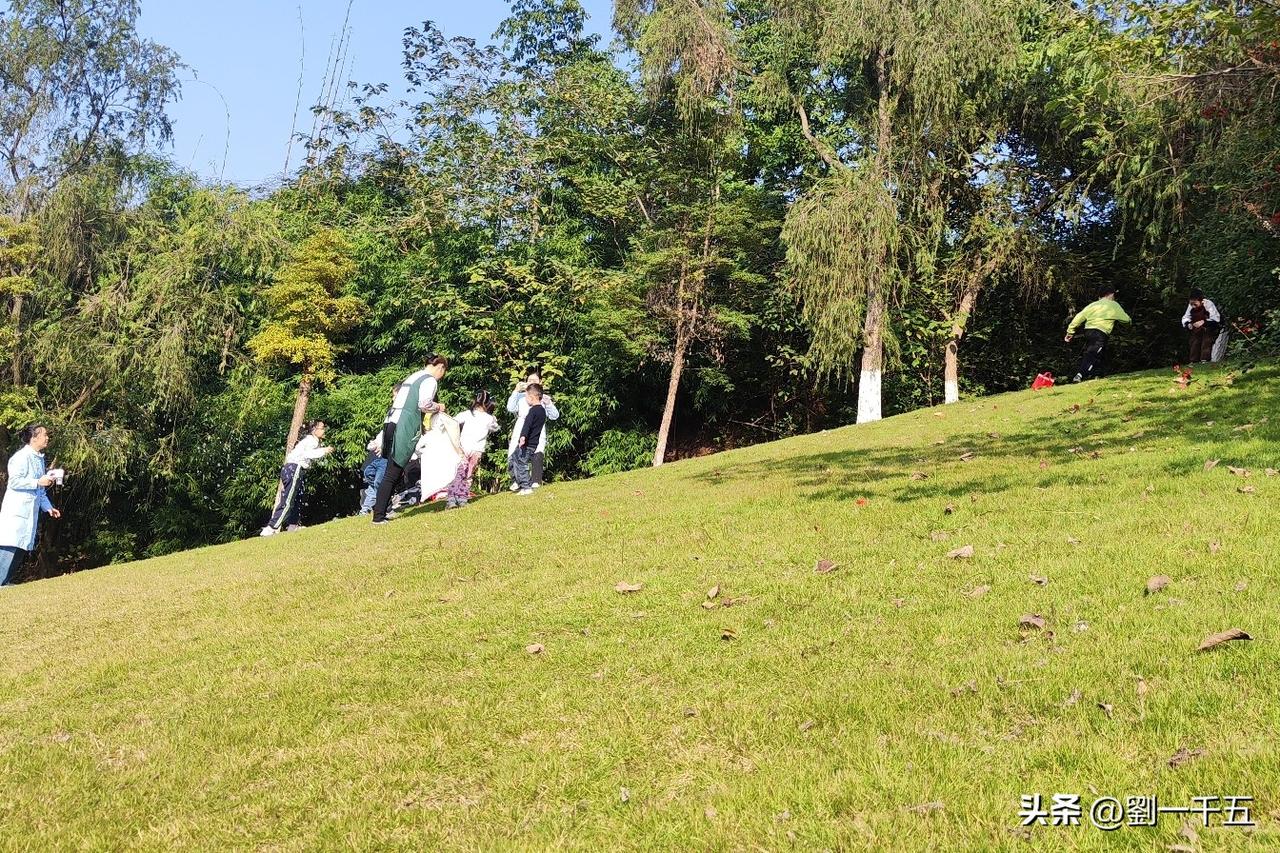 春节之后，又把写微头条的爱好培养起来了。本来与头条往来好几年了。2022年到20