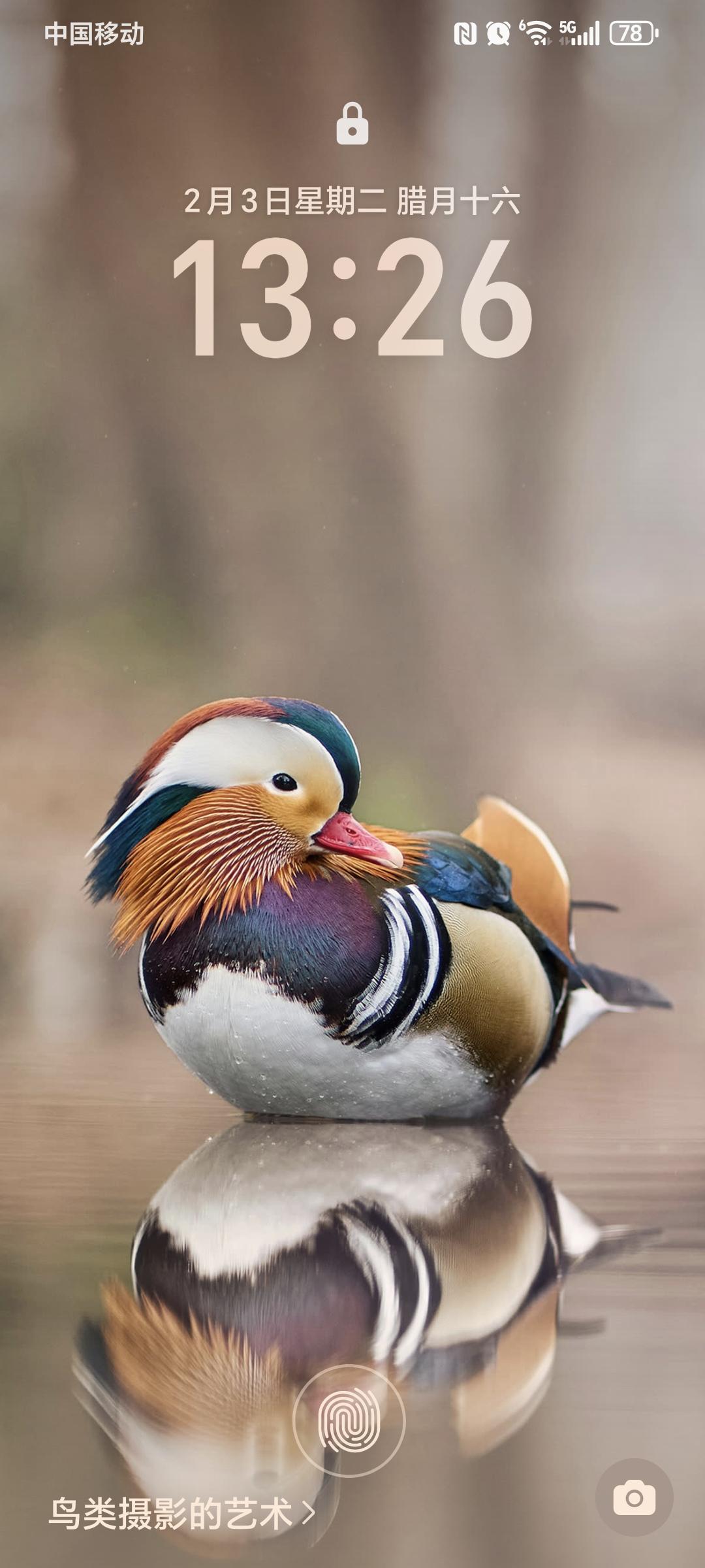 天南地北大拜年