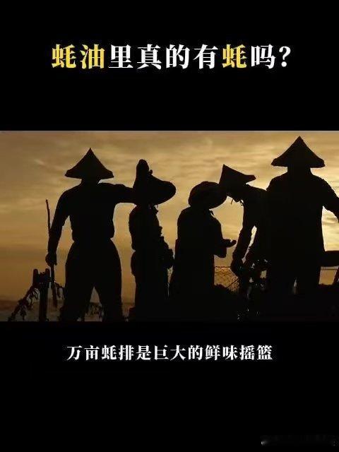 蚝油里真的有蚝吗看完纪录片恍然大悟，蚝油的前身蛎露在明代就已经出现，蚝油的鲜味传