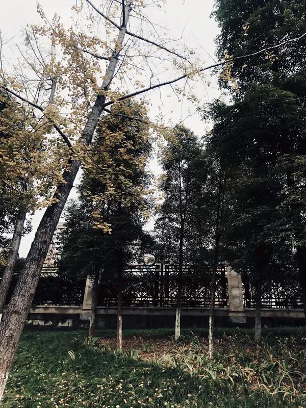 你觉得《没出息》的词曲经典之处在哪《没出息》诉说了当代人的各种不易，他那节奏感强