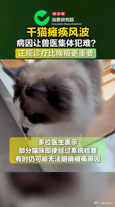千猫瘫痪多地医院真相调查记者调查千猫瘫痪背后真相宠物医生科普，猫咪后肢瘫痪不能随