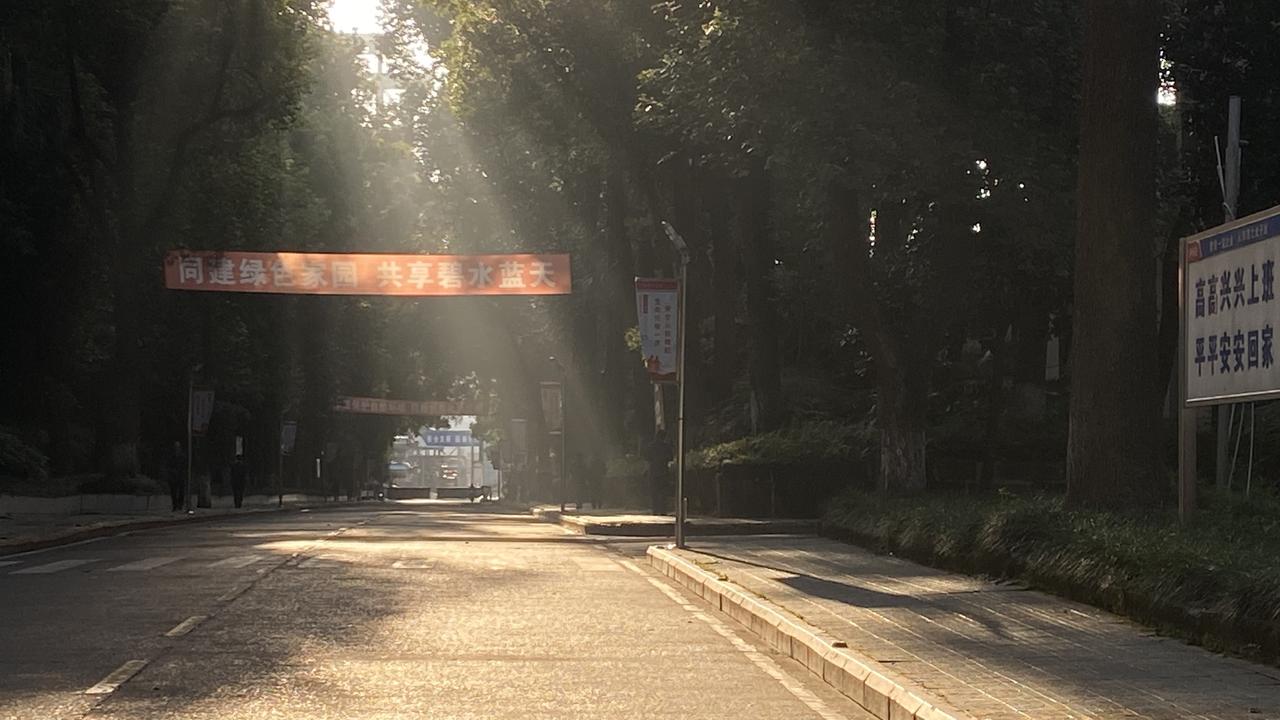 上班走了多年的路，今早被丁达尔光惊艳了
 2026年8月下旬的某个早上，太阳早早