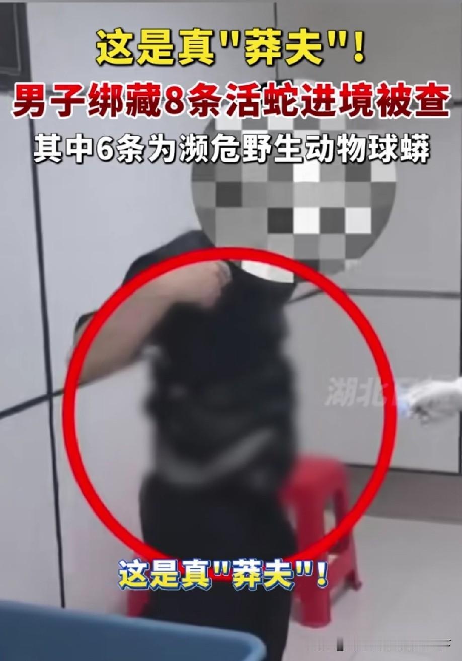 有些人是真勇，上次好像就有个缠几千摄像头的偷渡，而且那毕竟是死物，这个才是真腰缠