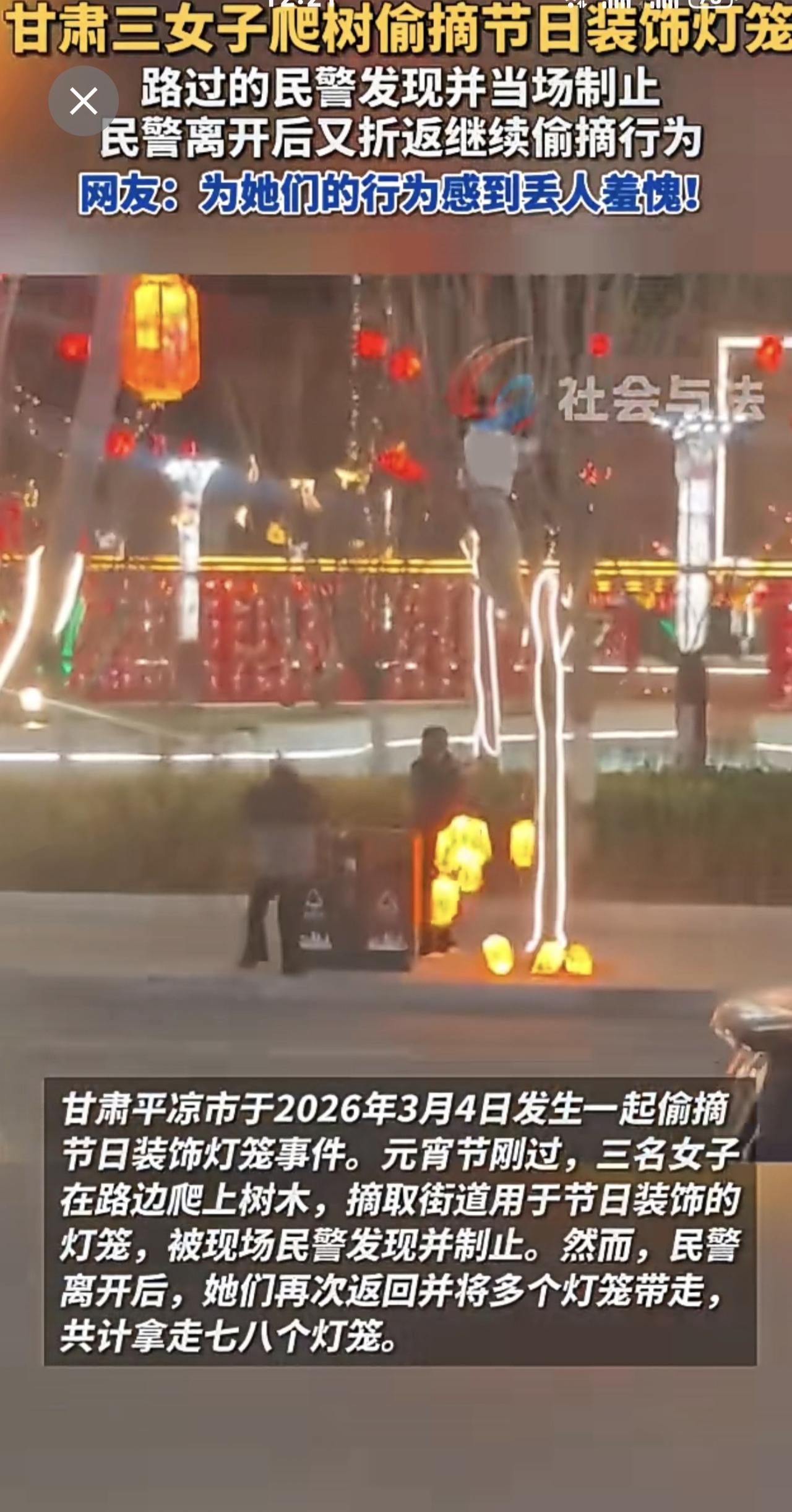 甘肃三女子爬树偷摘节日装饰灯笼。