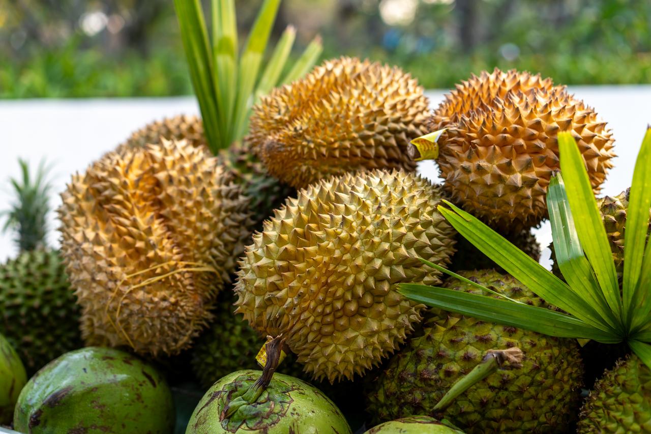 榴莲、小青龙、鱼子酱、鹅肝、佛跳墙、M9牛排……全都畅吃！这好像是三亚自助晚餐的