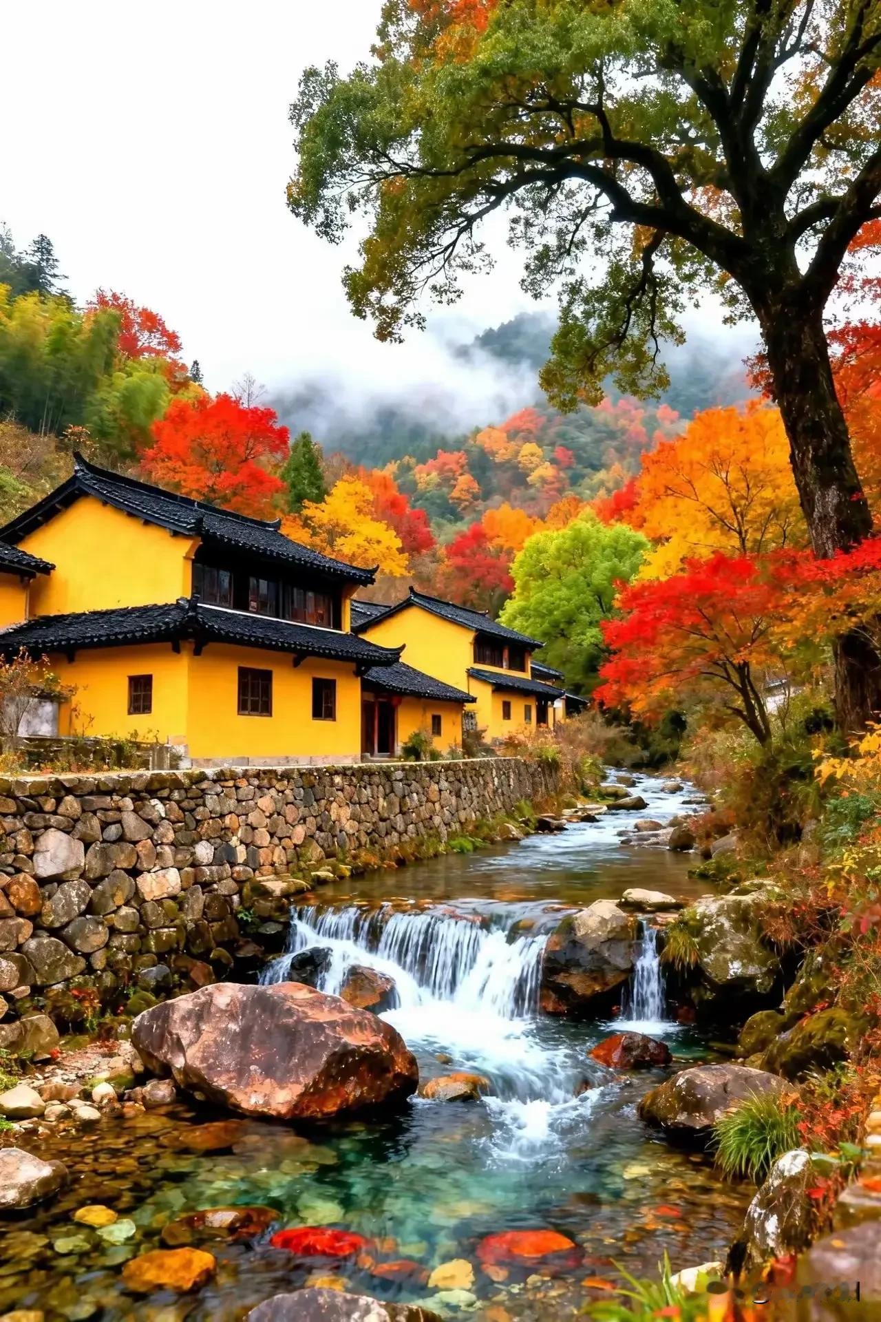《鹧鸪天·深秋安然》

掬得秋阳暖寸光，
淡拈清笑守寻常。
风霜洗尽初心净，
岁