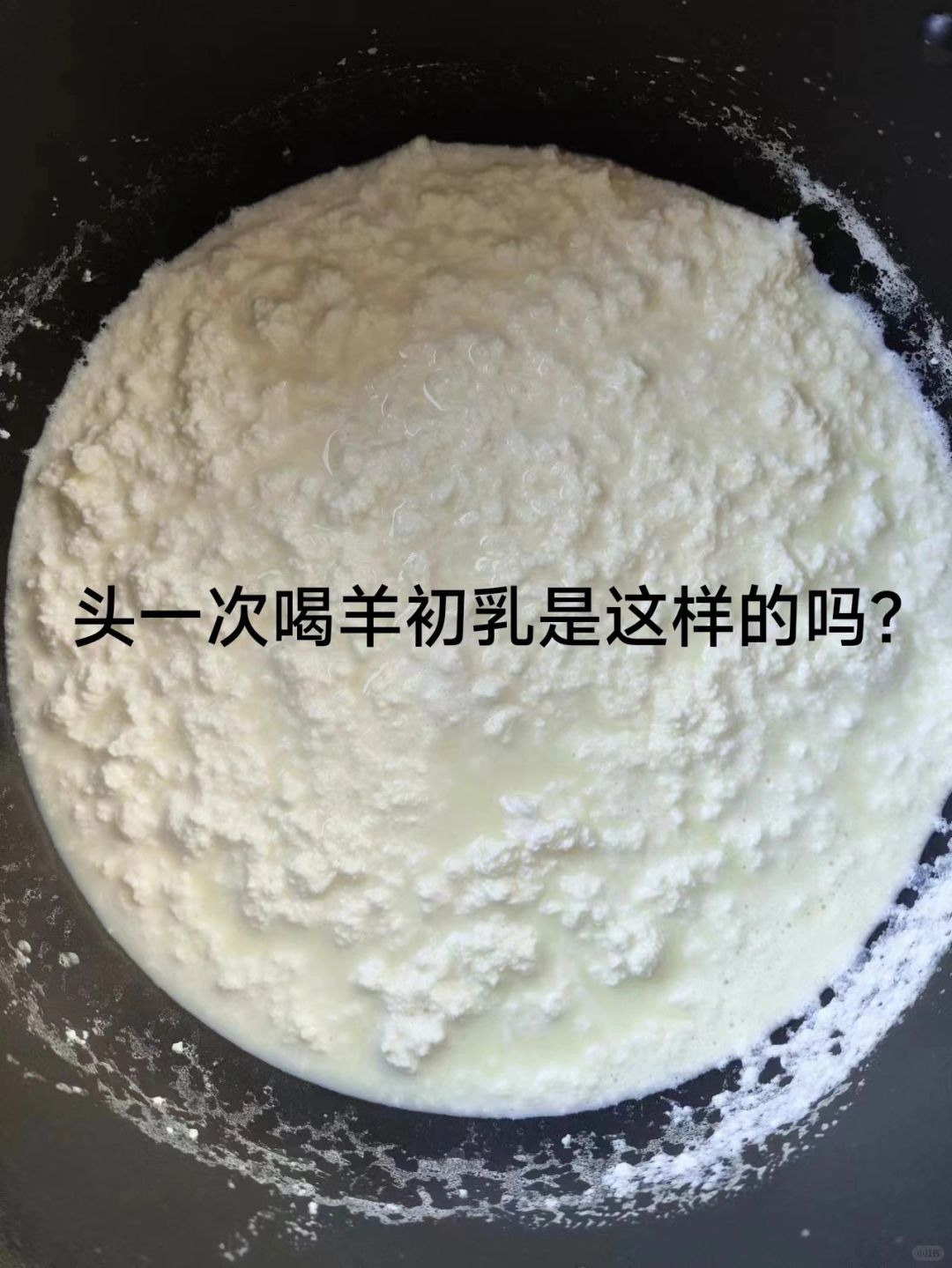头一次喝羊初乳是这样的吗?