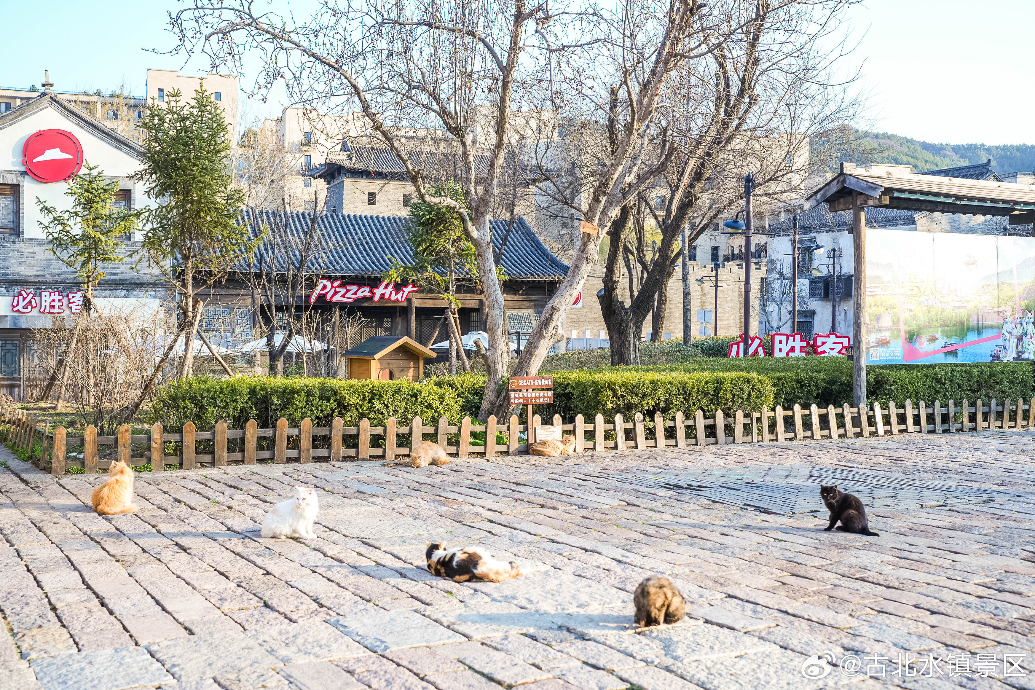 清晨是希望的开始，也是重新出发的机会带着勇气和温柔，迎接崭新的一天早安，宝子们～