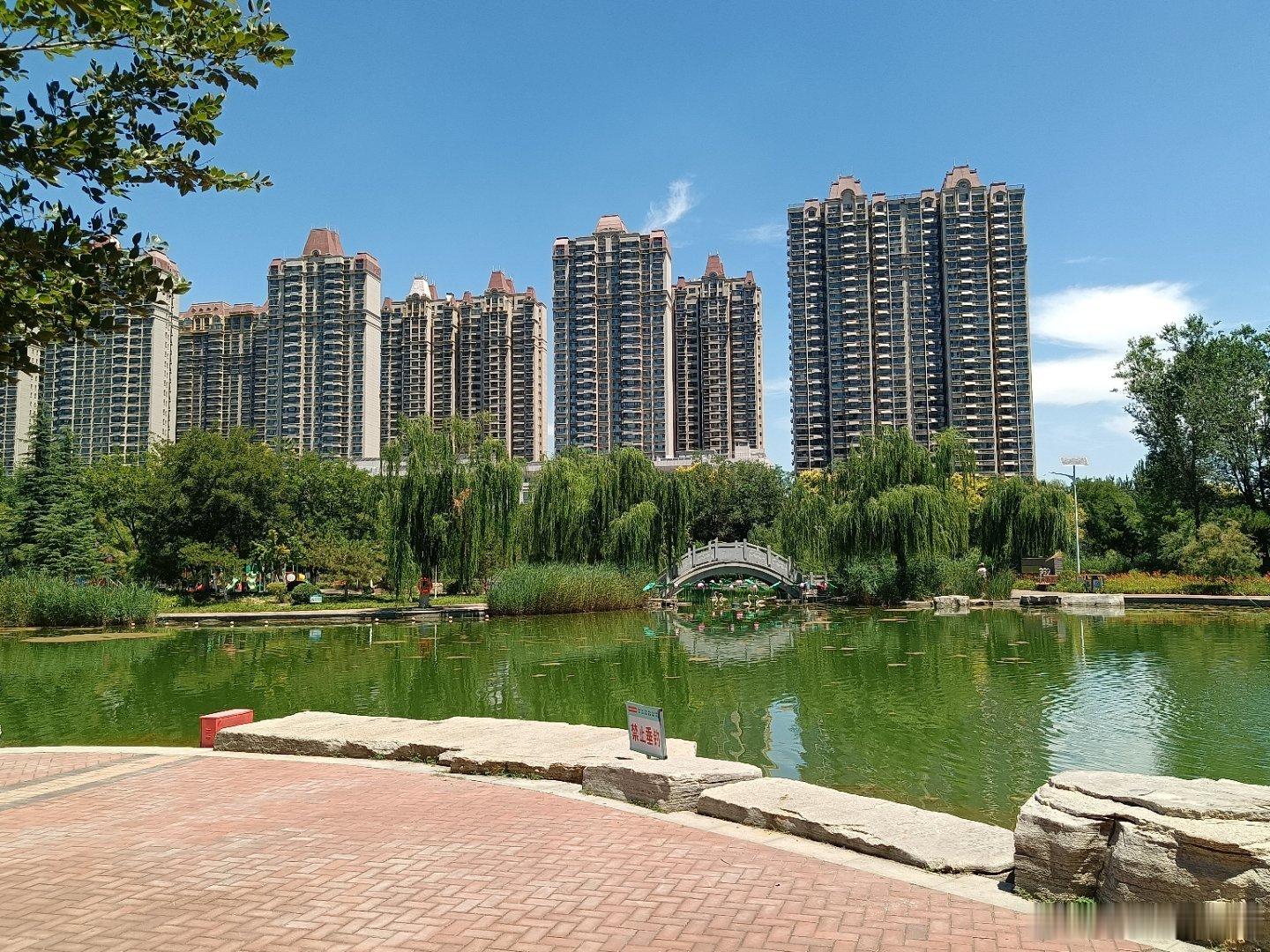 随手拍阴雨晴空都够热的，图片里感受点清清爽爽 